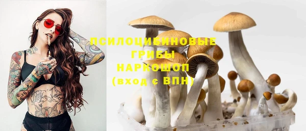 дурь Верхний Тагил