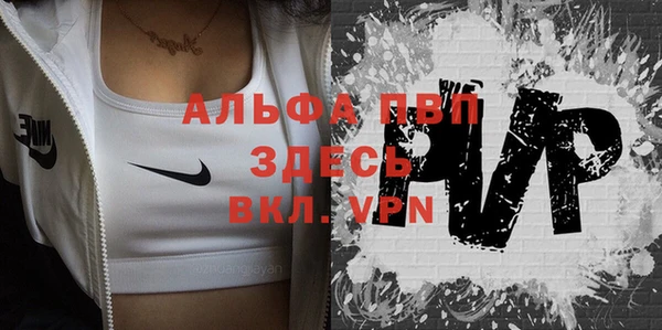 индика Дмитровск