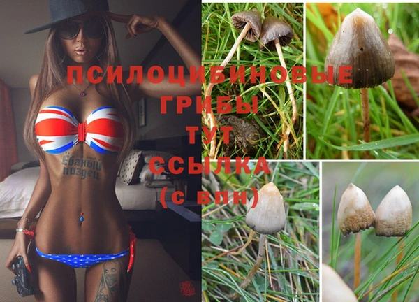 кокаин Верея
