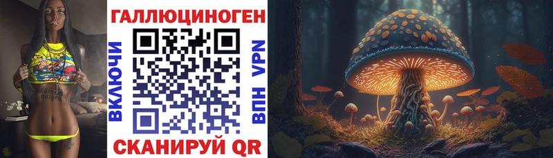 Галлюциногенные грибы GOLDEN TEACHER  Волгореченск 